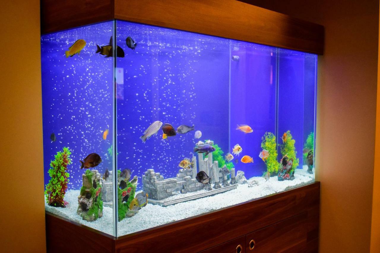 Mekke Hotel イスタンブール エクステリア 写真